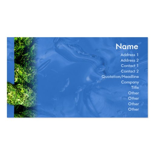 Water and Grass - Business Business Card Template (front side)