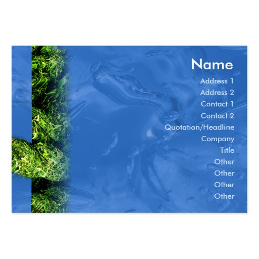 Water and Grass - Chubby Business Card Templates