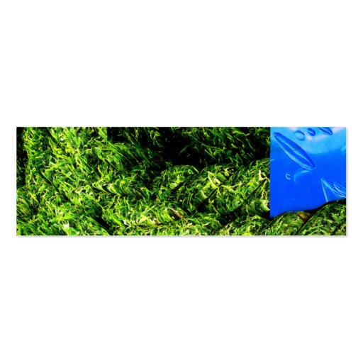 Water and Grass - Skinny Business Cards (back side)