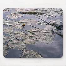 Water And Sky Mouse Pads