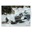 Water and Snow cards by T_Trant Water and Snow cards