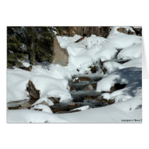 Water and Snow cards