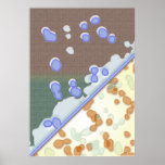 Water and Stone Print