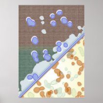 Water and Stone Print