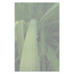 Water Beads on Grass stationery