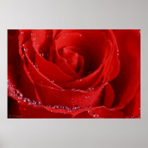 Water Beads Poster