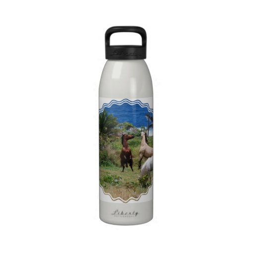 Water Bottle - Customized