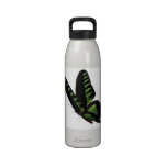 Water Bottle - Customized