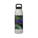 Water Bottle - Customized
