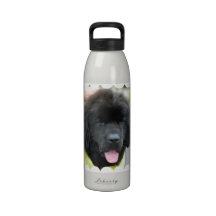 Water Bottle - Customized