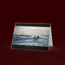WATER BOY Greeting-card