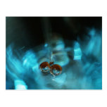 Water bubbles and Flow postcards