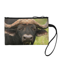 Water Buffalo Coin Purse