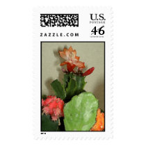 water cactus postage