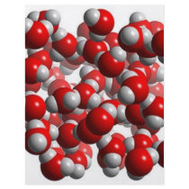 water cells full color flyer