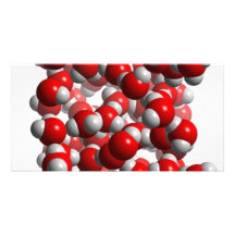water cells picture card