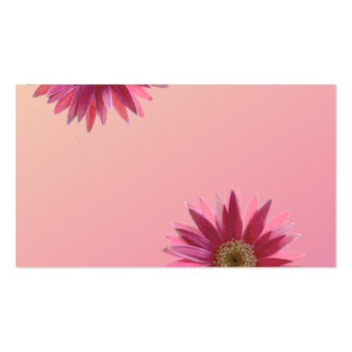 Water color fuscia daisies business card (back side)