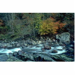 Water Colors Photo Cut Outs