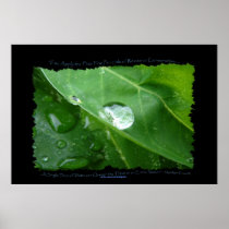WATER CONSERVATION Leaf Drop Eco Poster