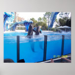 water dance print