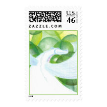 Water Dragon Postage