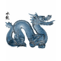 Water Dragon T-shirt