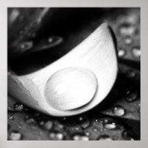 Water drop black Weis Print