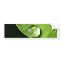 water drop on leaves bumper stickers