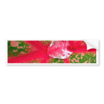 water drop on leaves bumper stickers