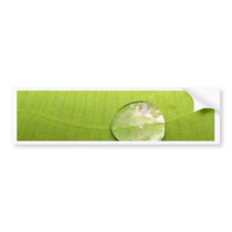 water drop on leaves bumper stickers
