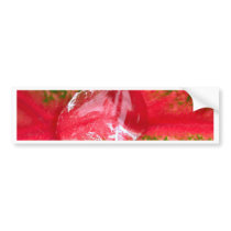 water drop on leaves bumper stickers