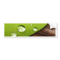 water drop on leaves bumper stickers