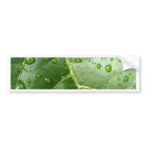 water drop on leaves bumper stickers