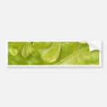 water drop on leaves bumper stickers