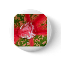 water drop on leaves buttons