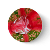 water drop on leaves buttons