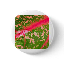 water drop on leaves buttons