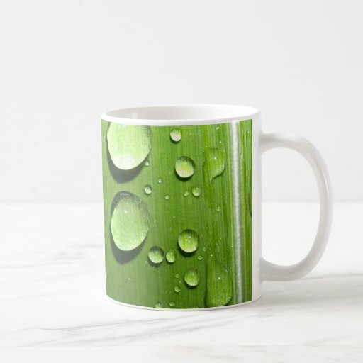 water drop on leaves coffee mugs