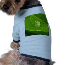 water drop on leaves pet clothing