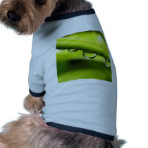 water drop on leaves pet clothing