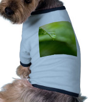 water drop on leaves pet clothing