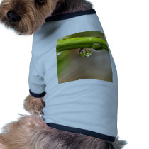 water drop on leaves pet clothing