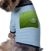water drop on leaves pet clothing