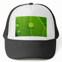 water drop on leaves hats by naturelife water drop on leaves hats