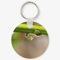 water drop on leaves keychains by naturelife water drop on leaves keychains