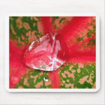 water drop on leaves mousepads