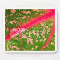 water drop on leaves mousepads