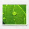 water drop on leaves mousepads by naturelife water drop on leaves mousepads