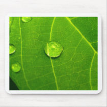 water drop on leaves mousepads by naturelife water drop on leaves mousepads