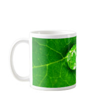 water drop on leaves mugs by naturelife water drop on leaves mugs